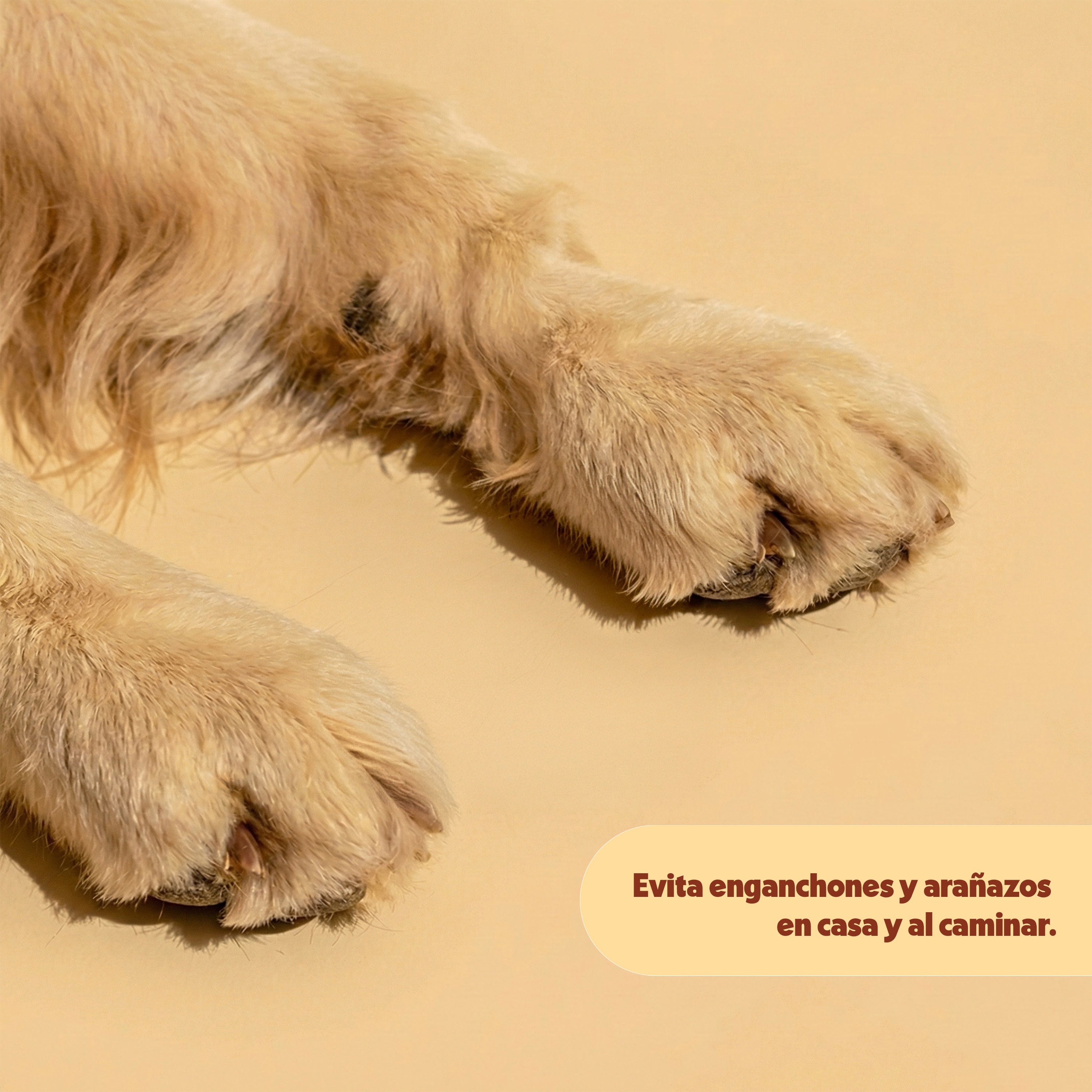 Cortaúñas con seguro