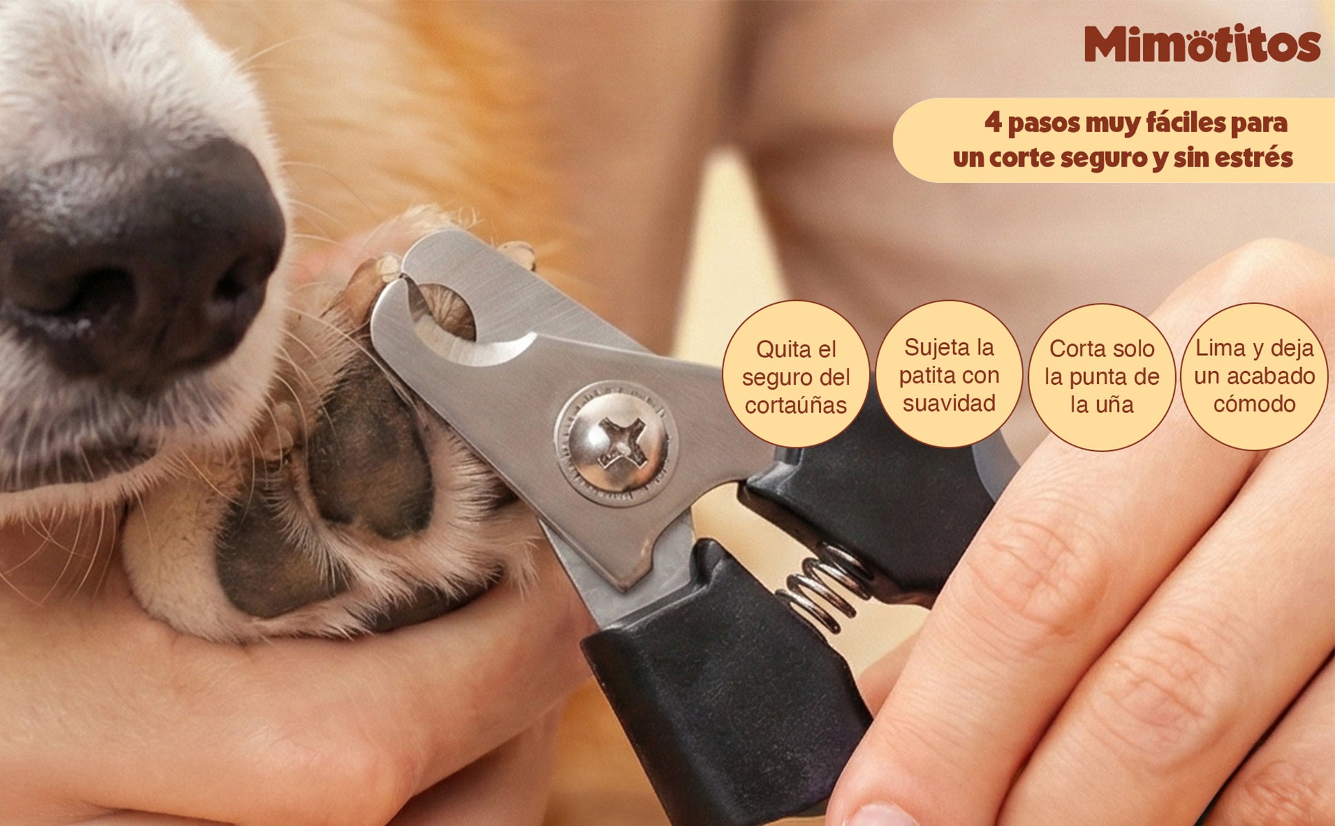 Cortaúñas con seguro